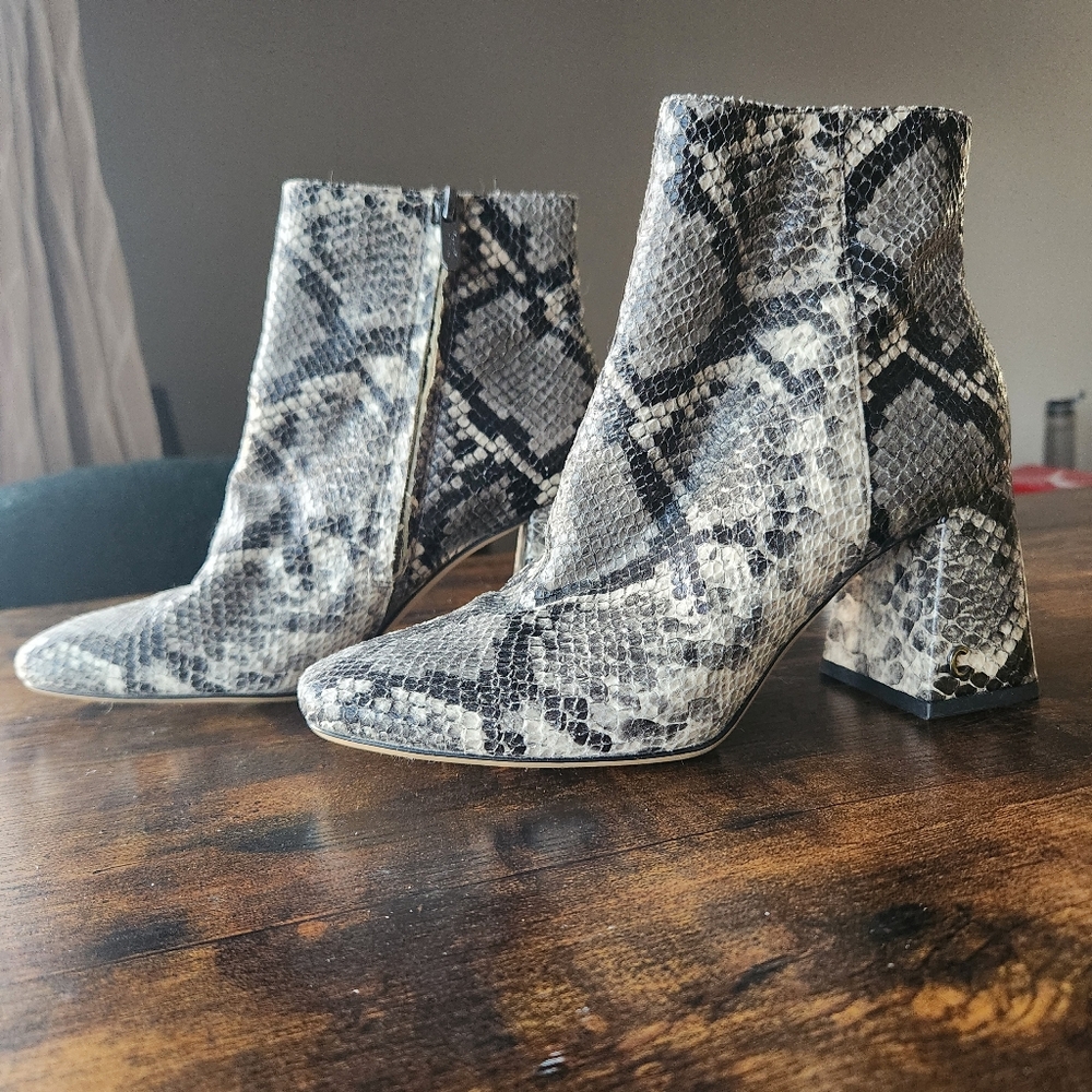 Circus NY by Sam Edelman "Kate" Women Snakeskin Ankle Booties